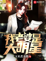 我老婆是大明星小说加料版